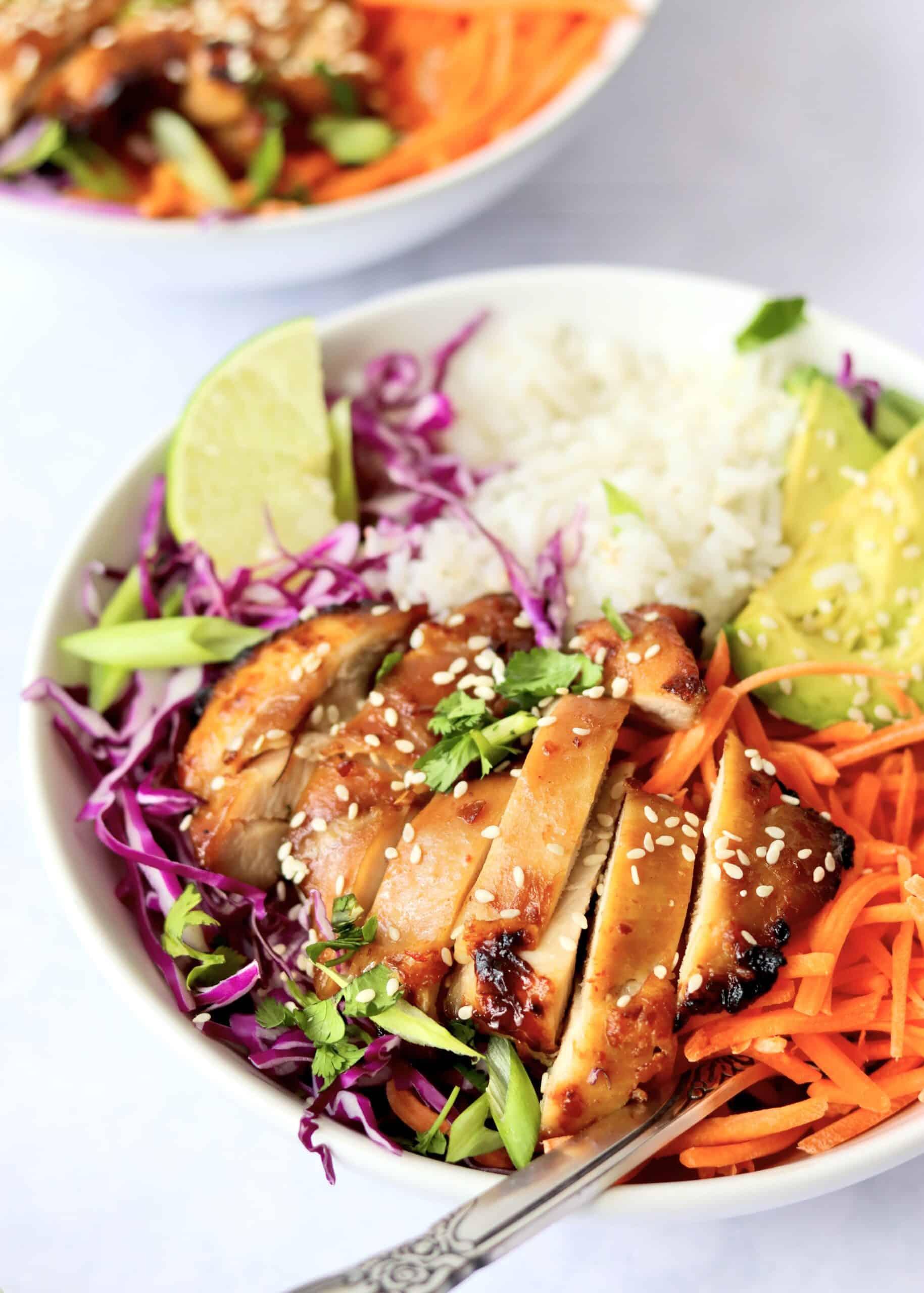 Close up of the Korean chicken coconut rice bowl.