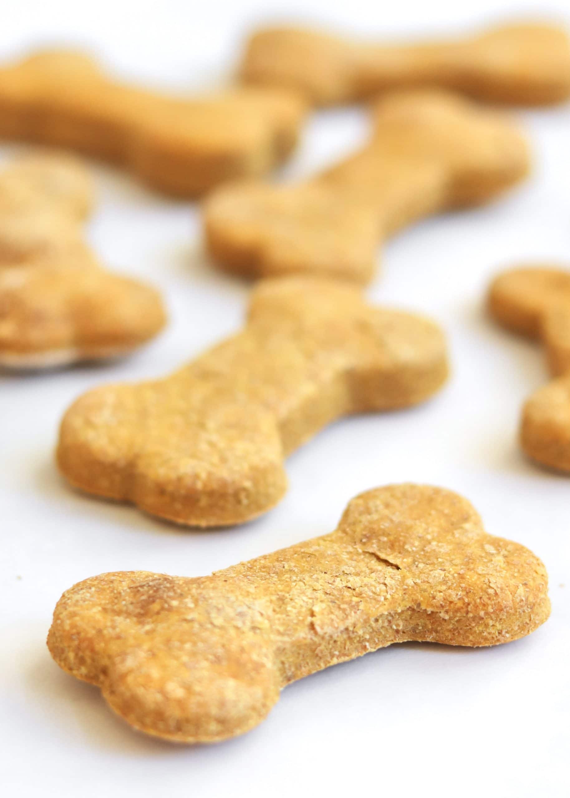 Homemade peanut butter pumpkin dog treats