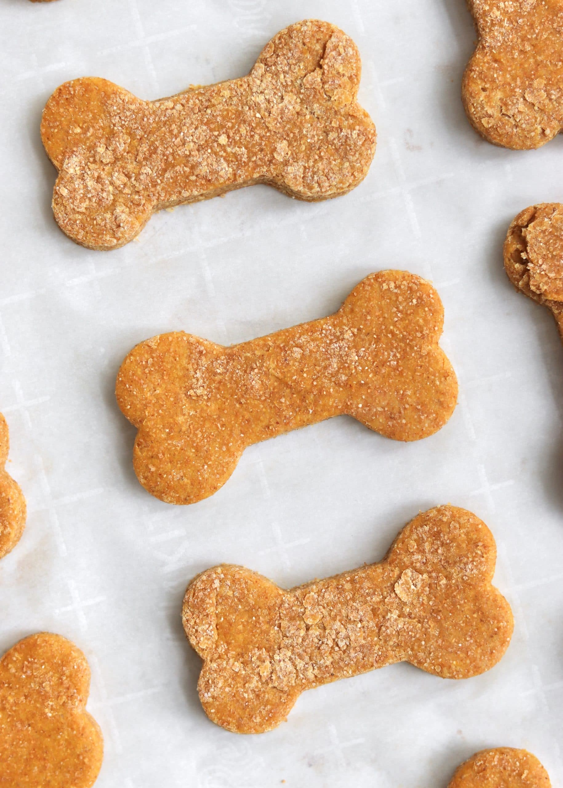 Unbaked pumpkin dog treats