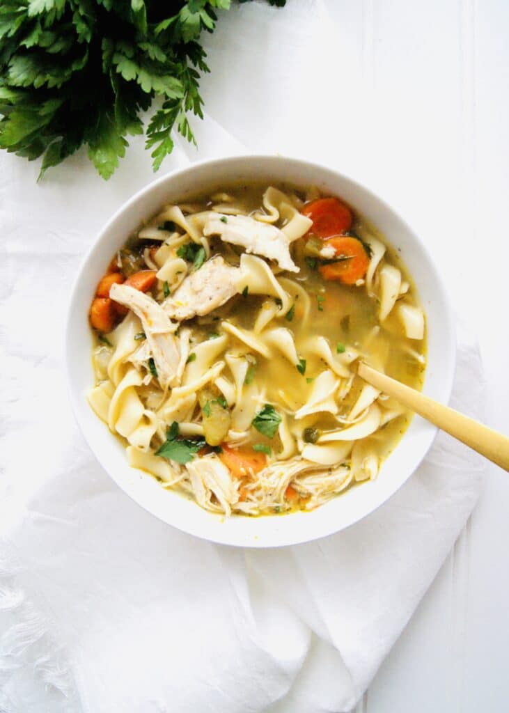 Bowl of chicken noodle soup made in an instant pot pressure cooker
