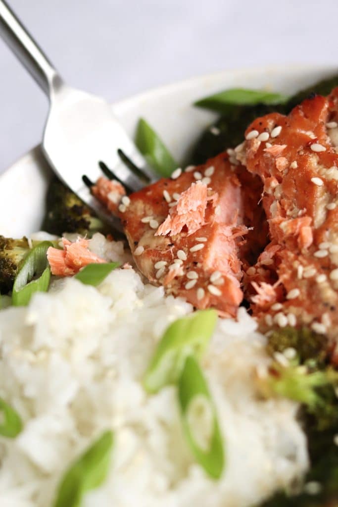 Close up of asian salmon with rice and sesame seeds