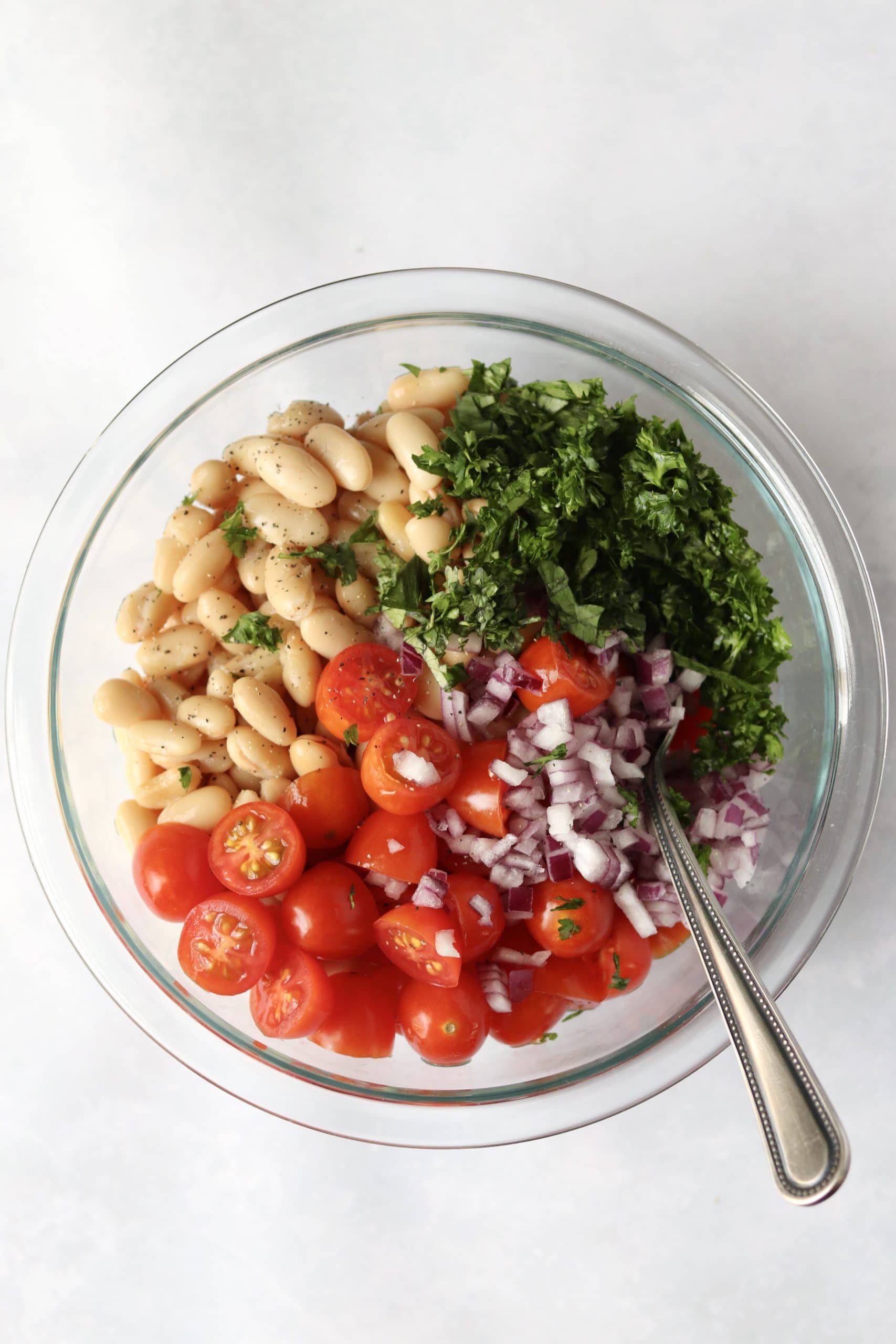 White beans, tomatoes, red onion, and herbs in bowl