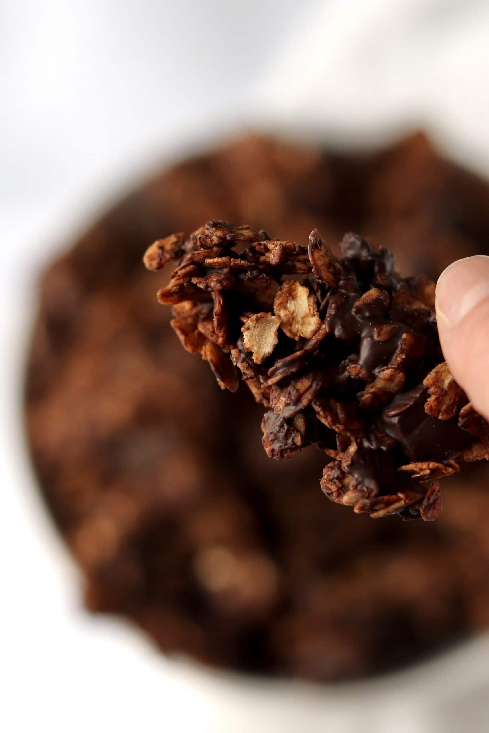 Close up of a piece of chocolate granola