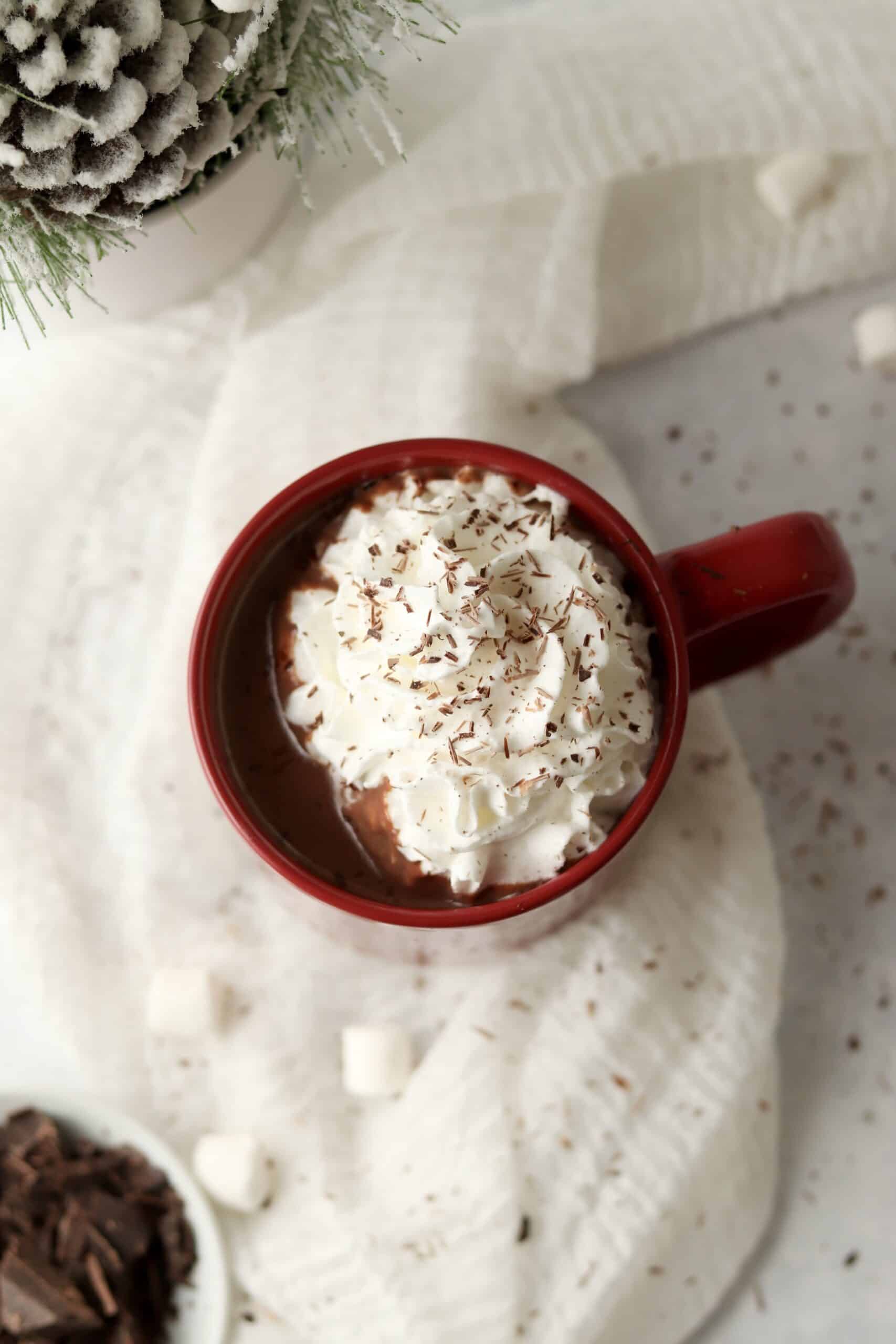 hot chocolate with whipped cream and chocolate shavings in a mug
