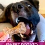 Black dog eating a sweet potato dog treat.