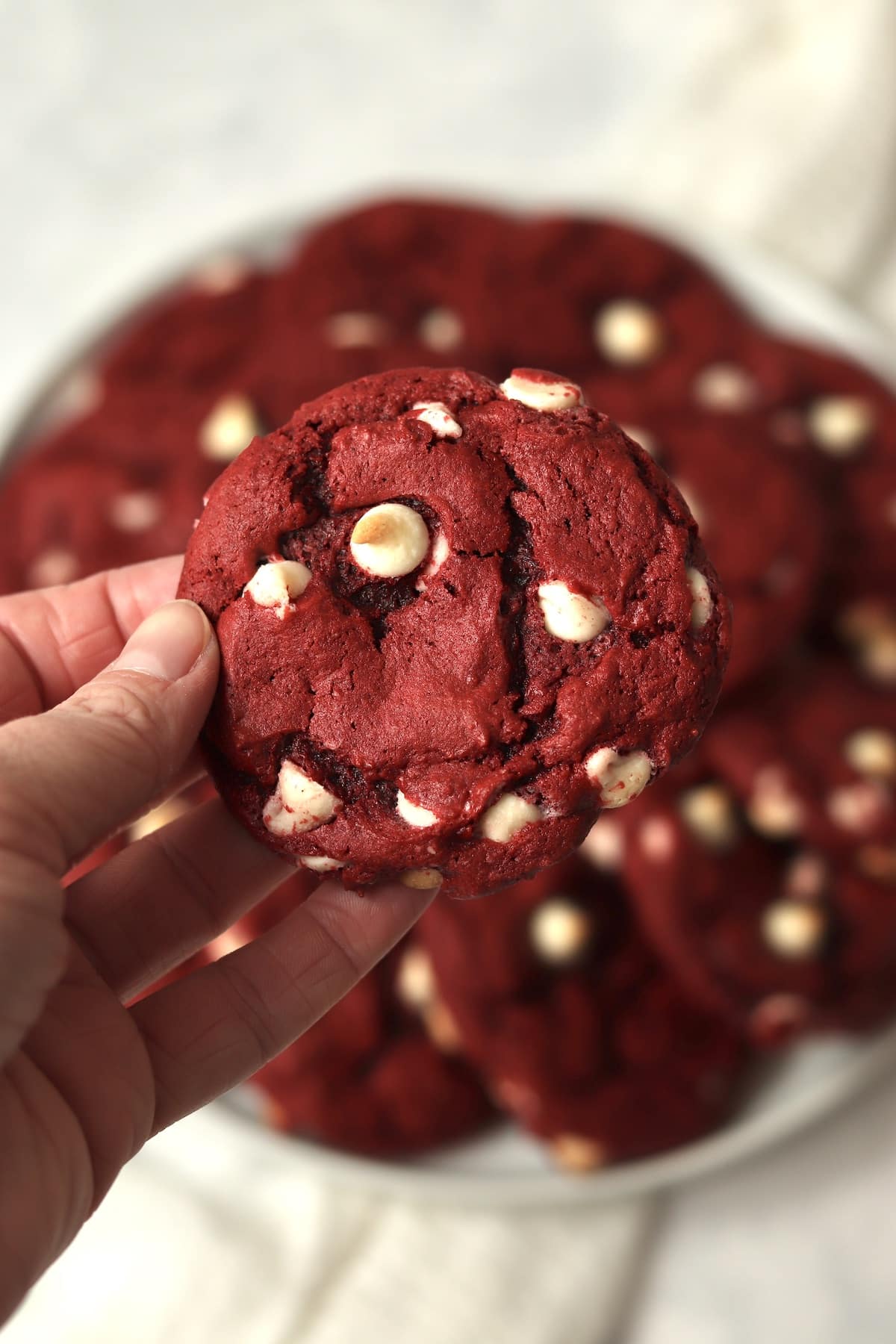 Red Velvet Cake Mix cookie with white chocolate chips.