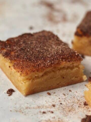 Snickerdoodle Blondie with cinnamon sugar.