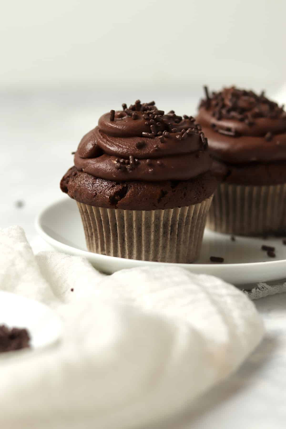 Two chocolate cupcakes on a plate.