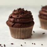 Single serve chocolate cupcake with chocolate frosting and sprinkles.