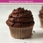 Single serve chocolate cupcake with chocolate frosting