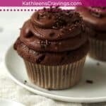 Single serve chocolate cupcake on a plate.