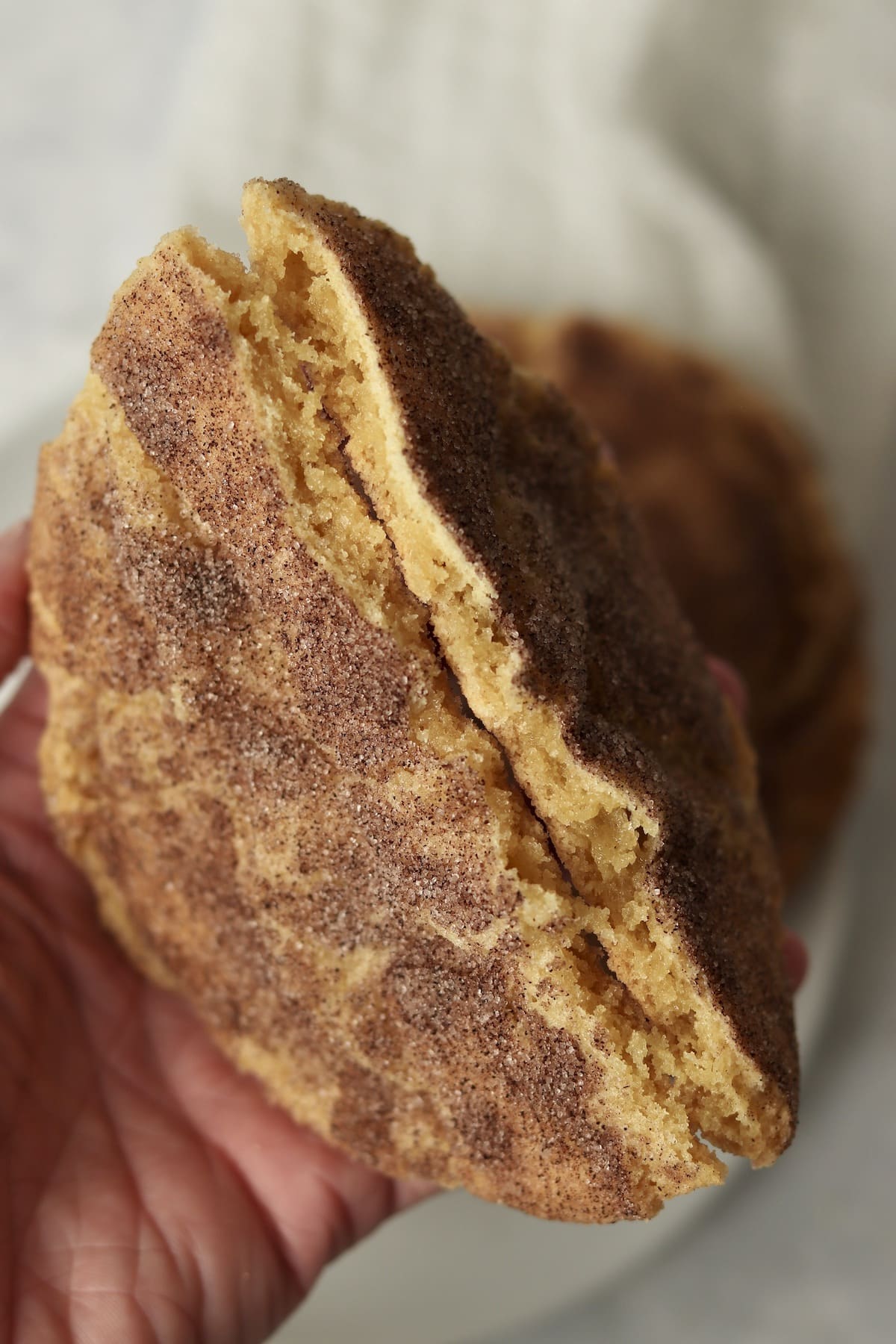Large snickerdoodle cookie broken in half to show chewy center.