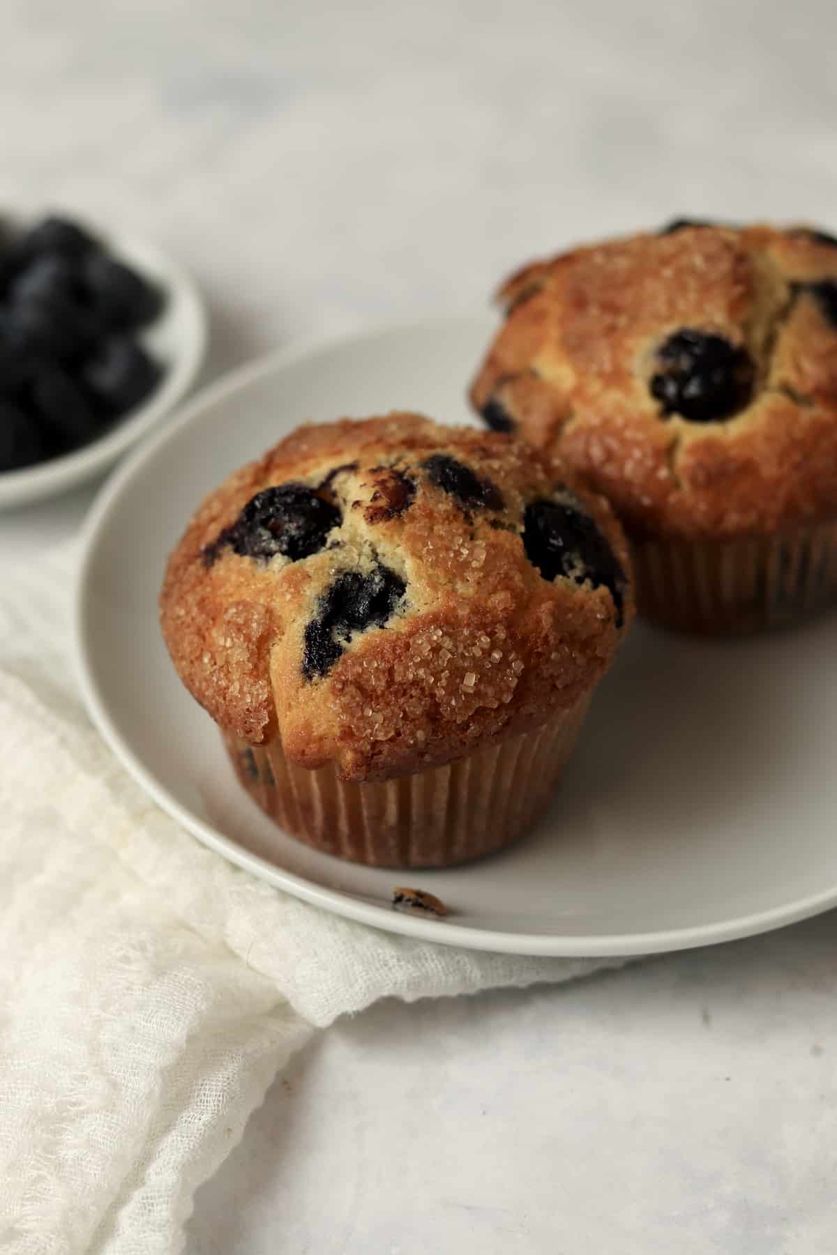 Two blueberry muffins on a plate.