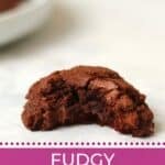 Fudgy brownie cookie with bite taken out.